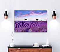 Obraz Levanduľové pole vo Francúzsku 1940